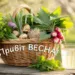 Перші вітаміни весни