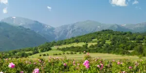 Долина Казанлик